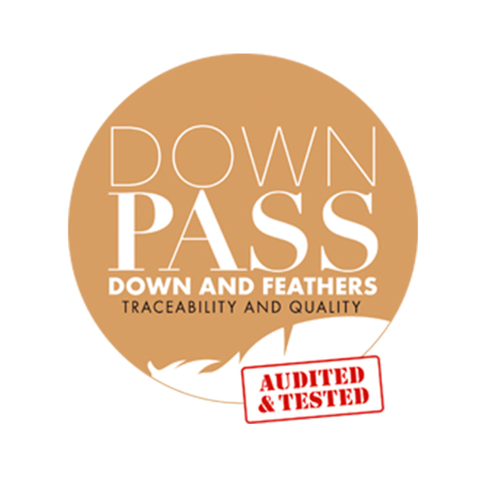 Downpass_logo.jpg